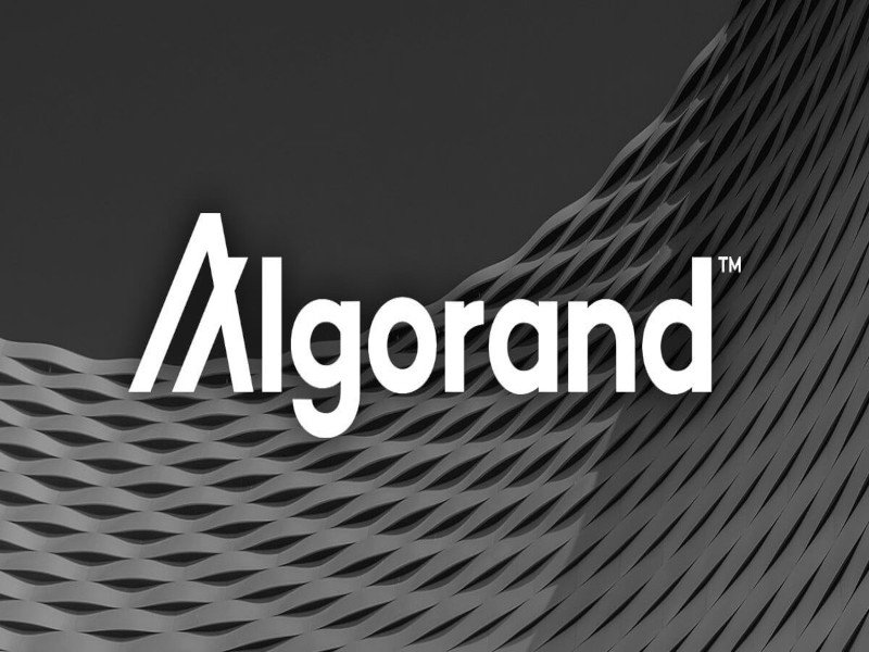 Algorand netwerk groeit met 6 miljoen gebruikers in 2022