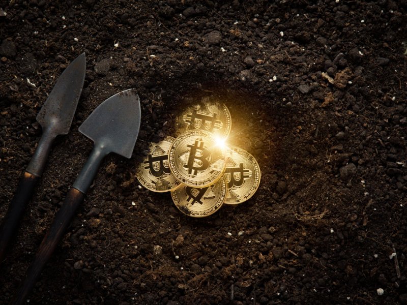 Crypto update: chainlink leidt groene markt, bitcoin boven $43.000