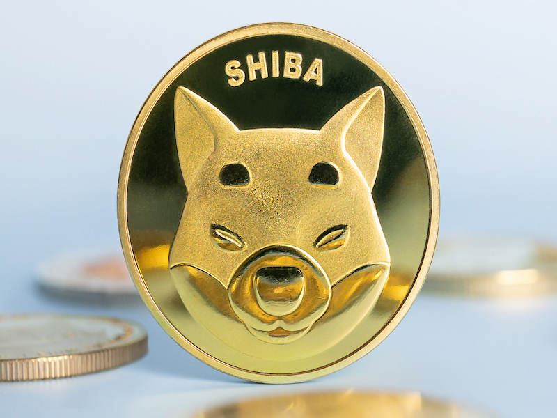 Predikce ceny Shiba Inu: SHIB vzrostl o 10 %, můžeme očekávat další růst?
